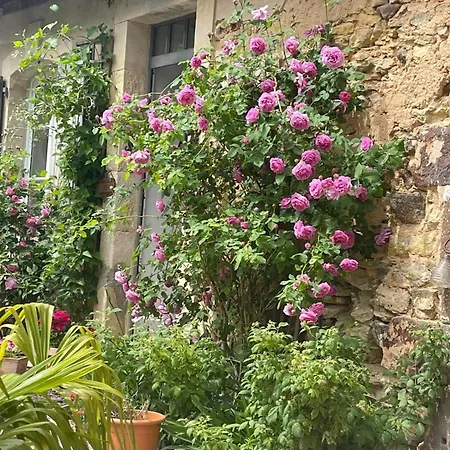 D'hote Pour Les 24 H Du Mans Et Le Mans Classique Couette-café Louplande